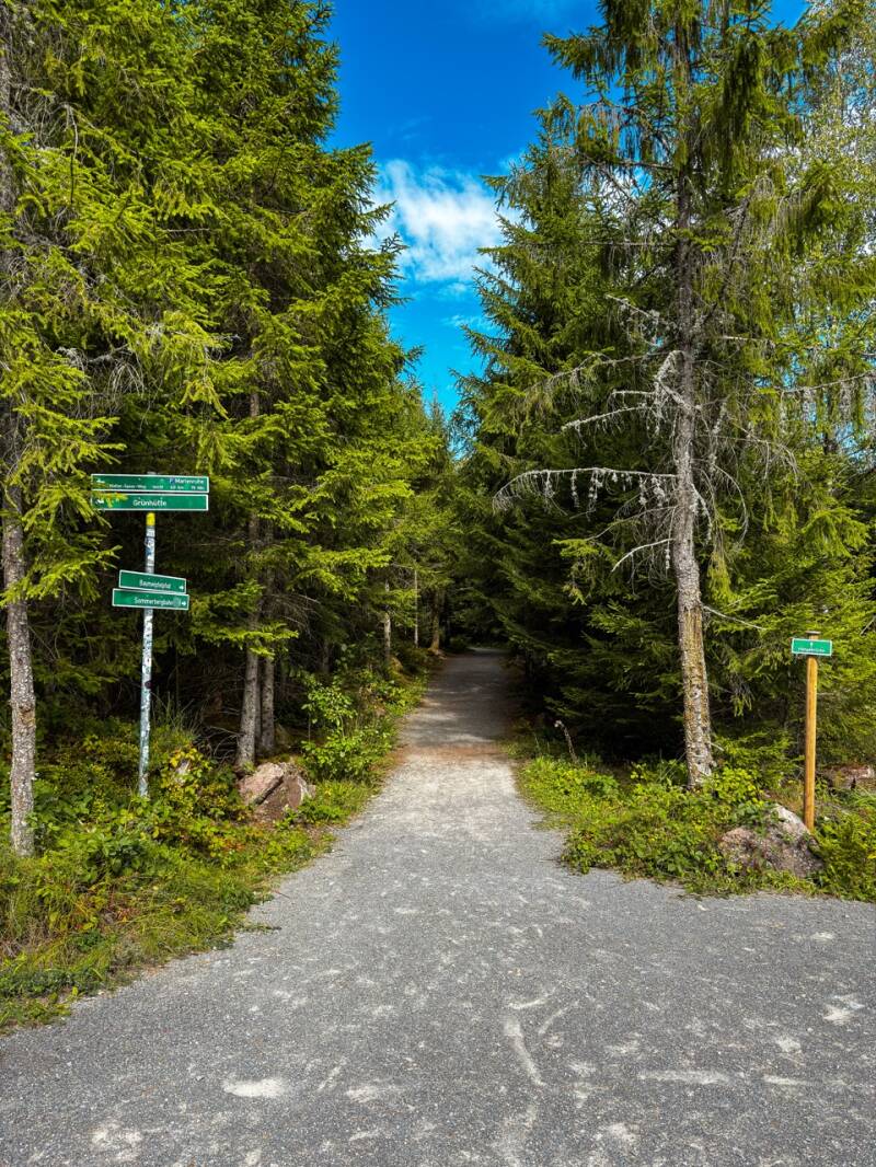 familienerlebnis-nordschwarzwald-bad-wildbad-standard.jpg