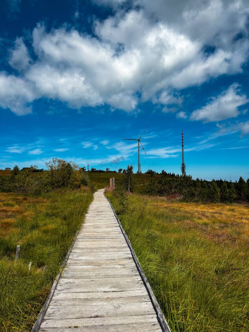 familienwanderung-nordschwarzwald-standard.jpg