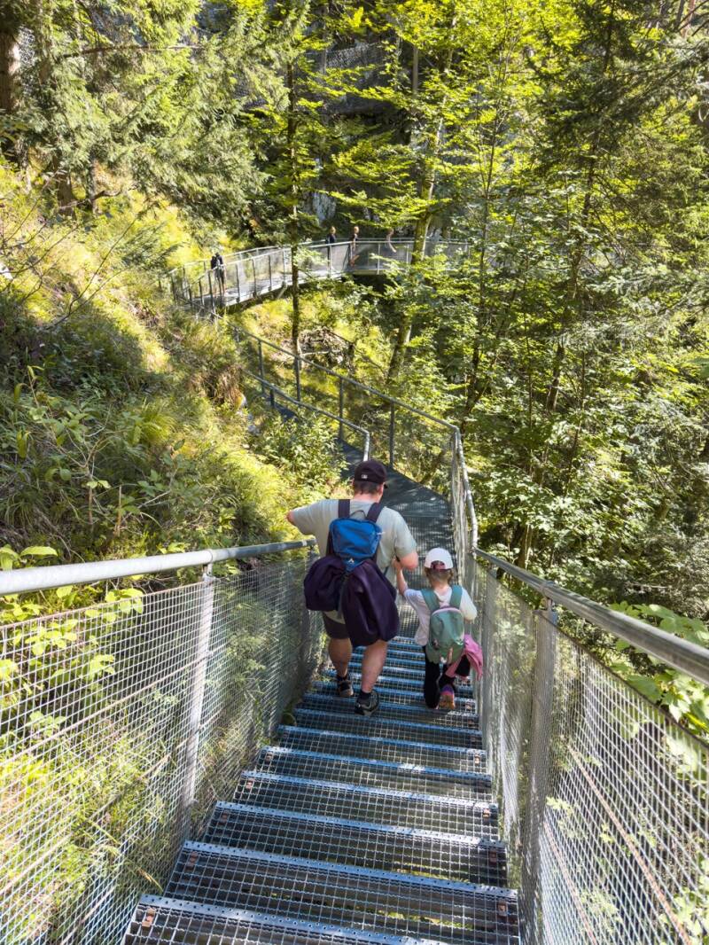 geisterklamm-leutasch-steig-standard.jpg