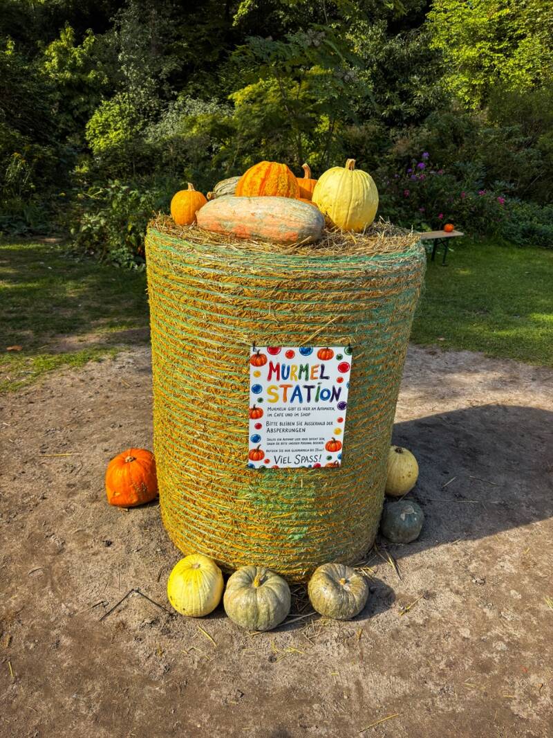 grosse-kuerbisfiguren-ludwigsburg-standard.jpg