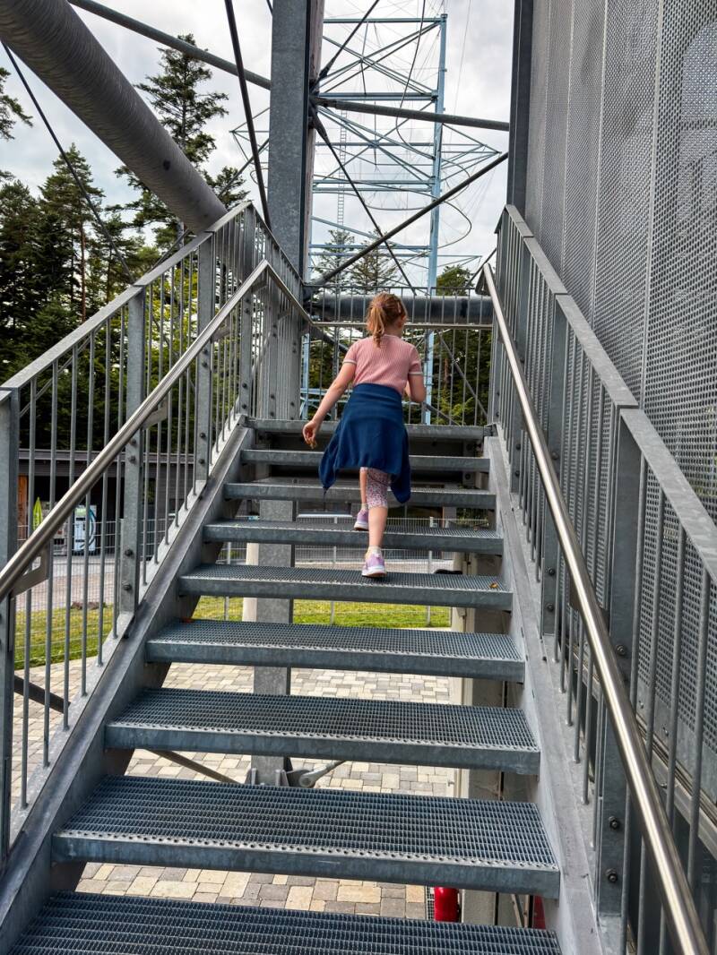hoch-auf-den-aussichtsturm-standard.jpg
