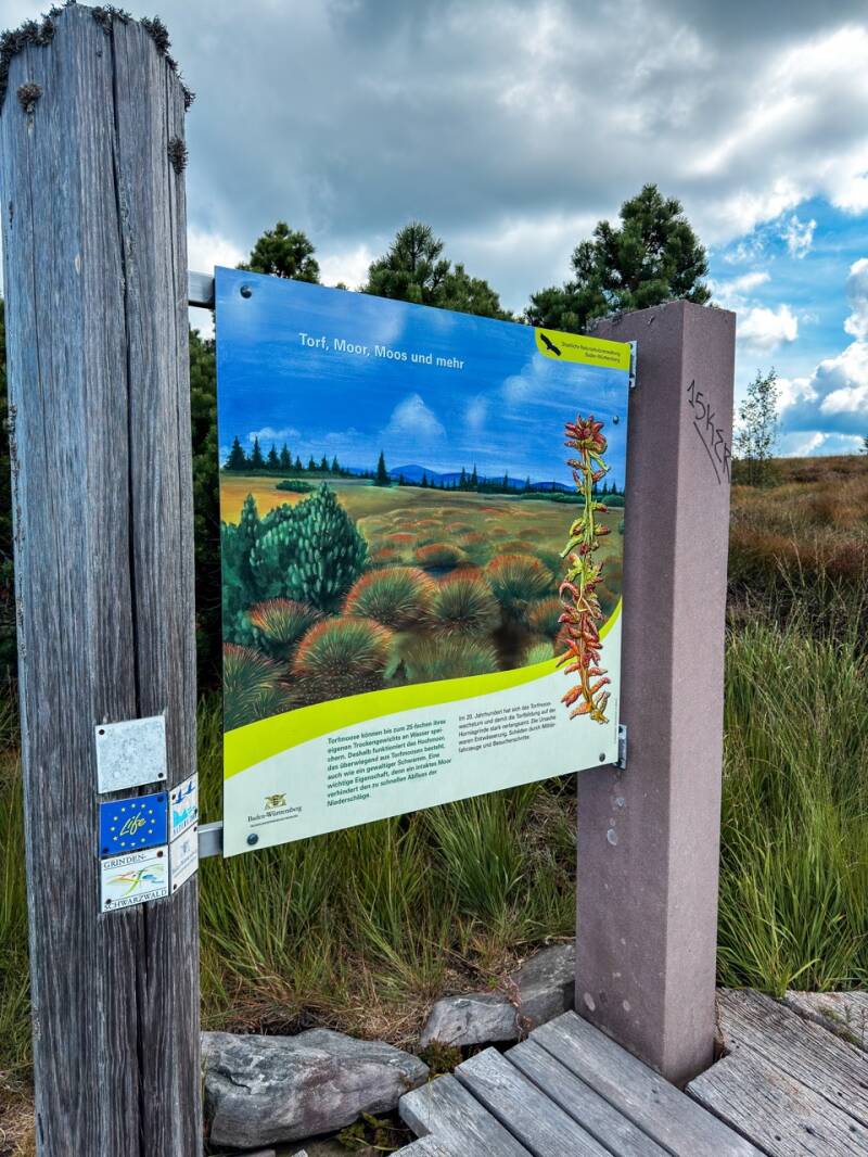 hochmoor-hornisgrinde-standard.jpg