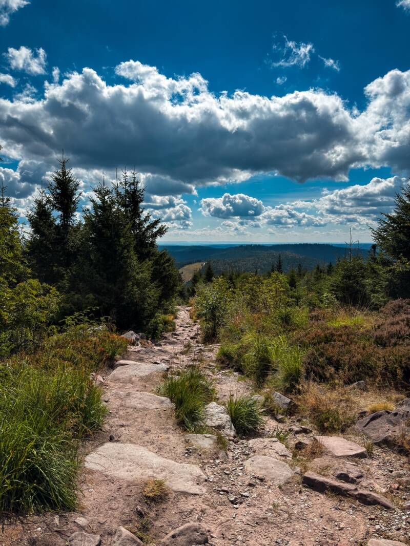 hornisgrinde-schwarzwald-ausflug-standard.jpg