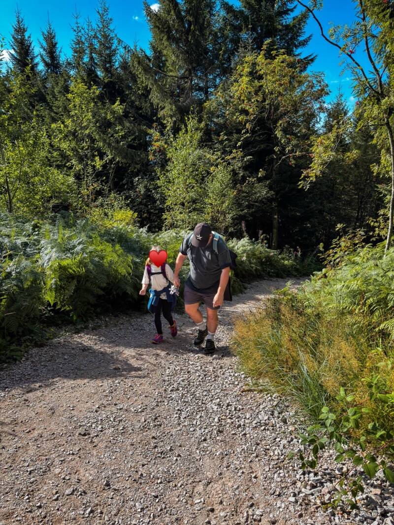 hornisgrinde-wanderung-nordschwarzwald-standard.jpg
