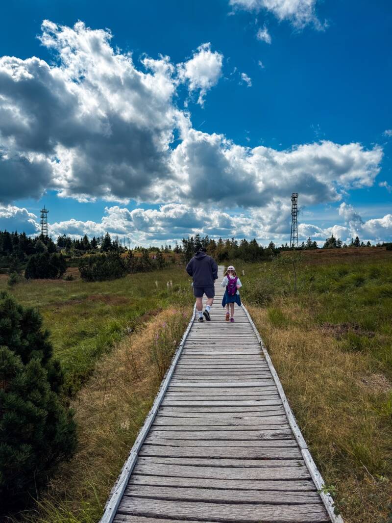 hornisgrinde-wanderweg-schwarzwald-standard.jpg