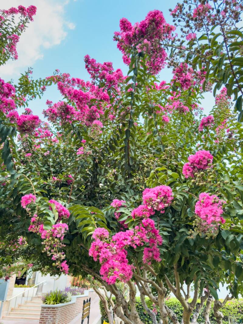 hotel-oleander-tuerkei-standard.jpg