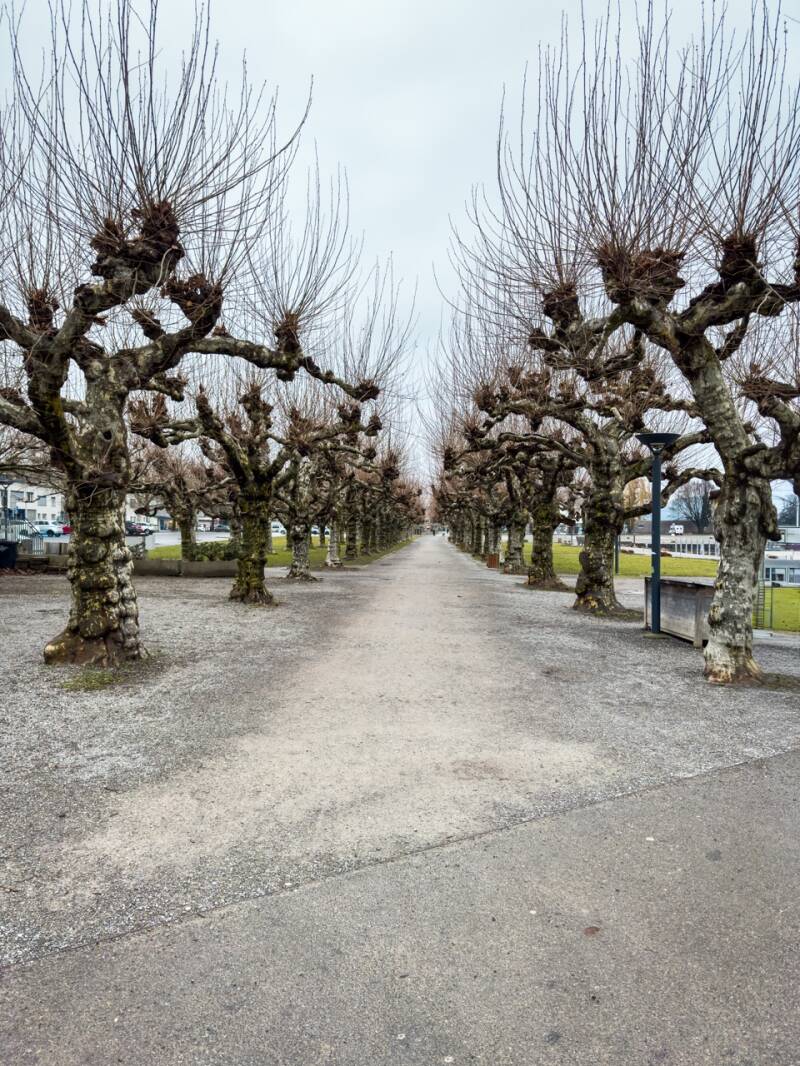 kreuzlingen-in-der-schweiz-standard-2c0w3p.jpg