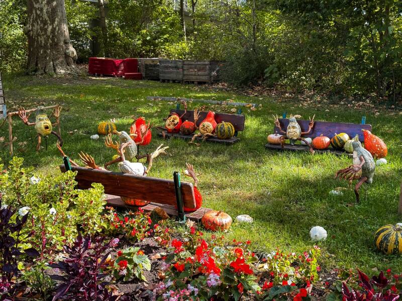 kuerbisausstellung-ludwigsburg-herbst-standard.jpg