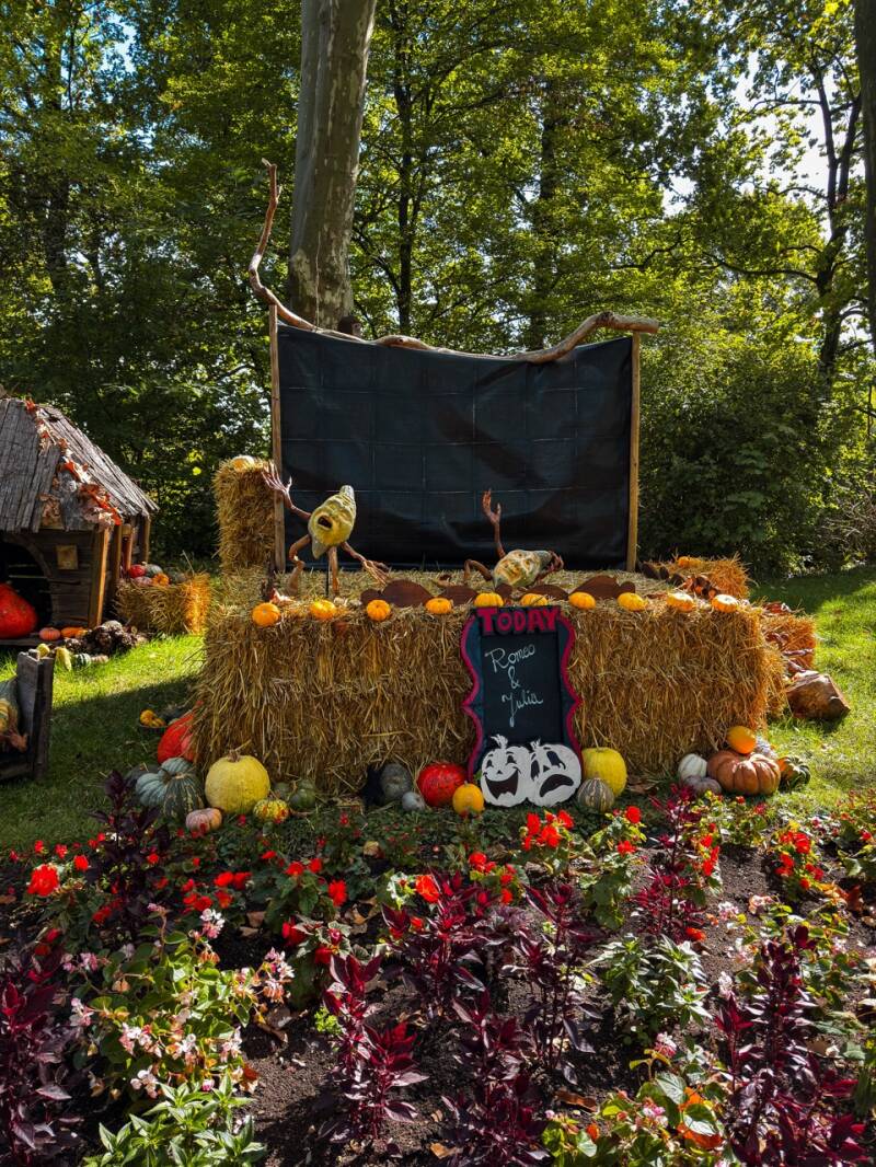kuerbisausstellung-ludwigsburg-kurbisfiguren-standard.jpg