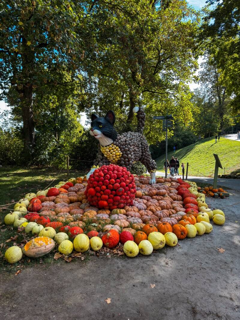 kuerbisfiguren-bluehendes-barock-ludwigsburg-standard.jpg