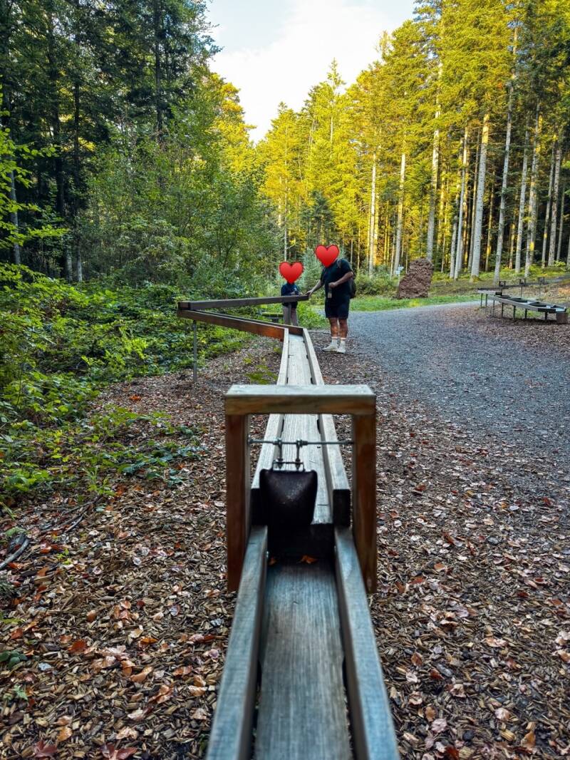 kugelbahn-am-aussichtsturm-standard.jpg