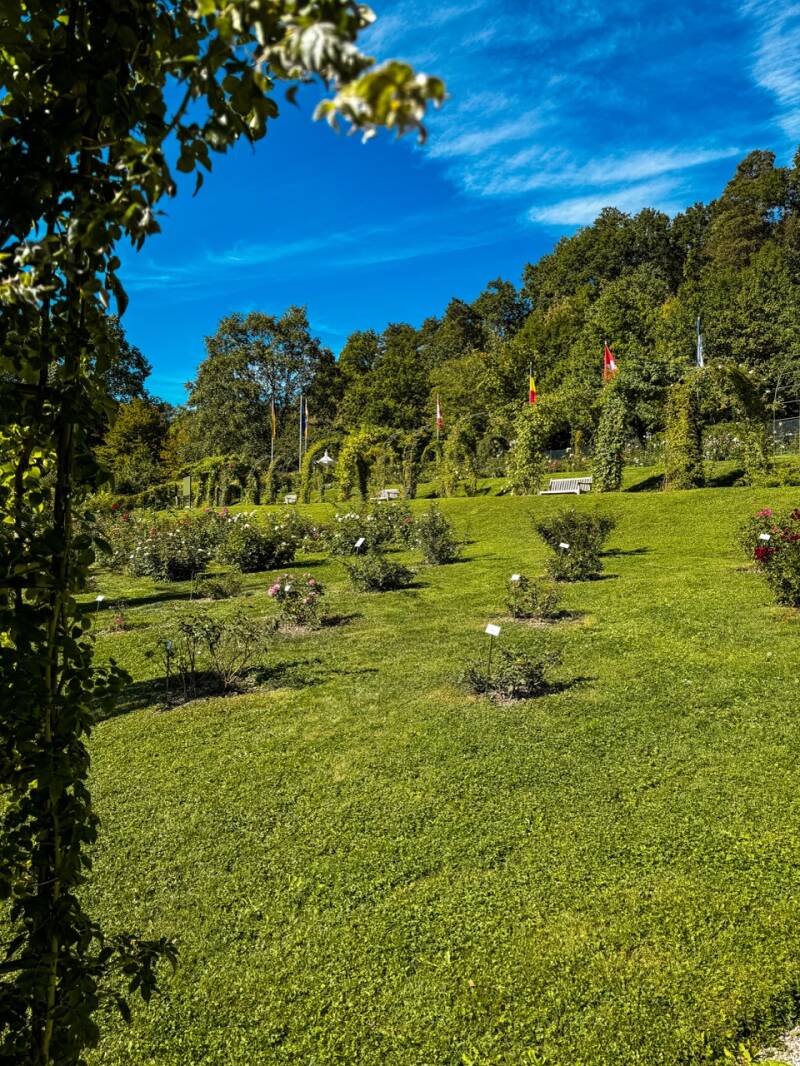 kurztrip-baden-baden-standard.jpg
