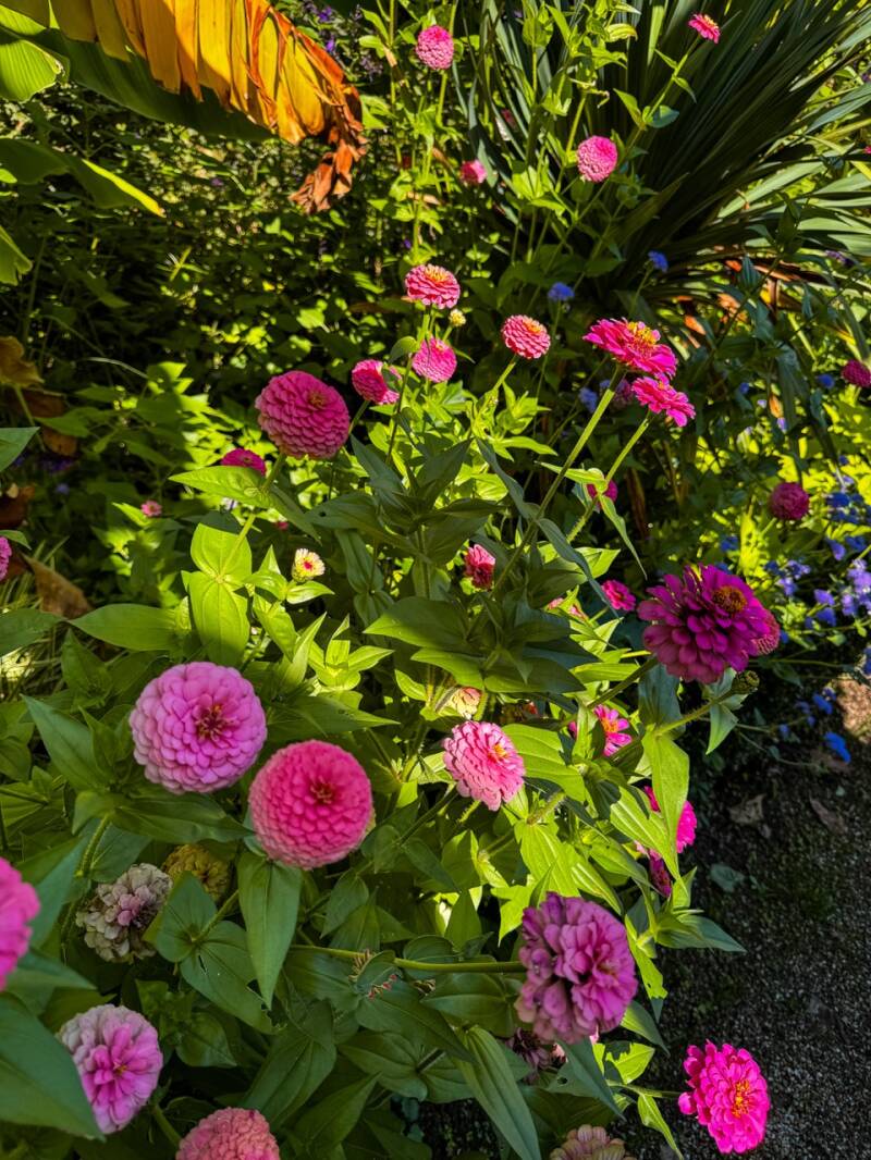 rosengarten-baden-baden-im-september-standard.jpg