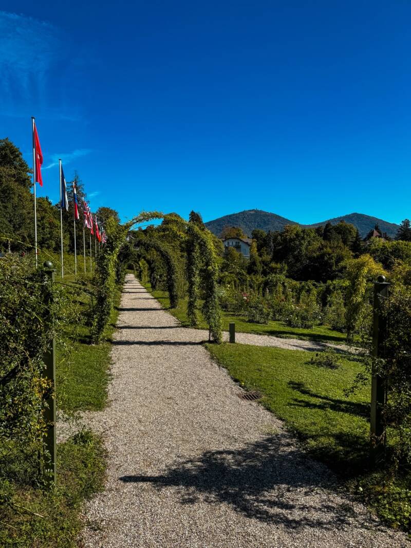 rosengarten-baden-baden-standard.jpg
