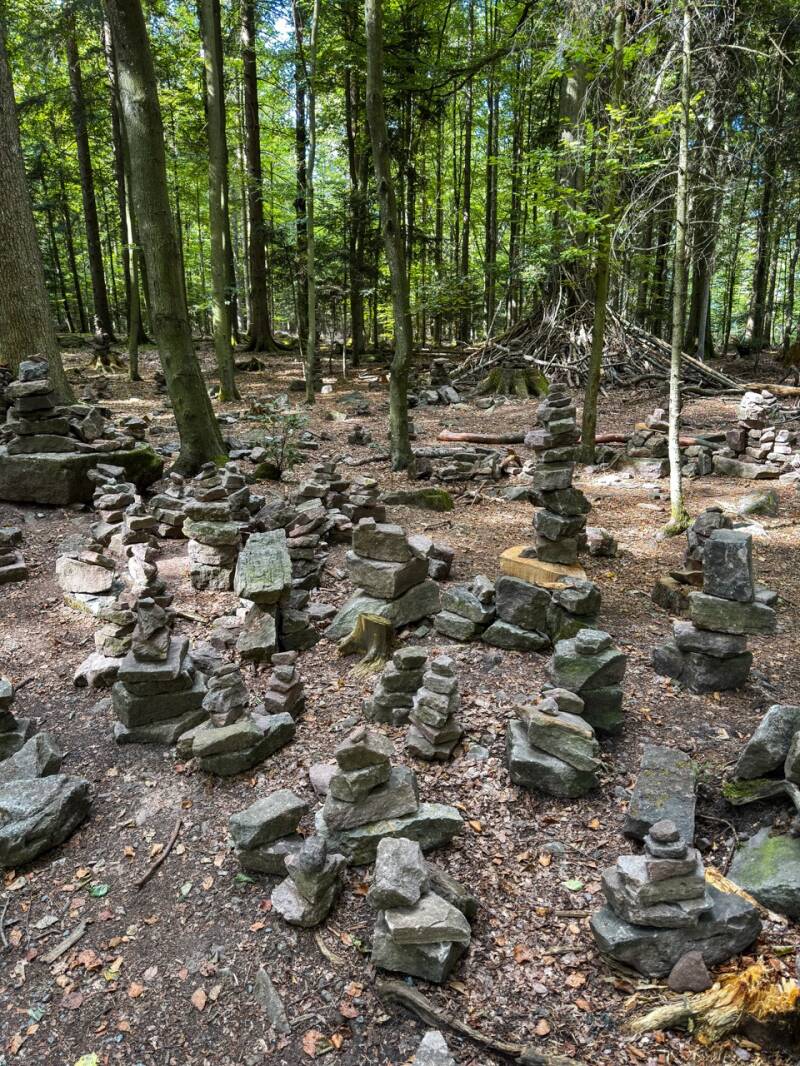 schwarzwald-ausflug-mit-kindern-wildline-standard.jpg