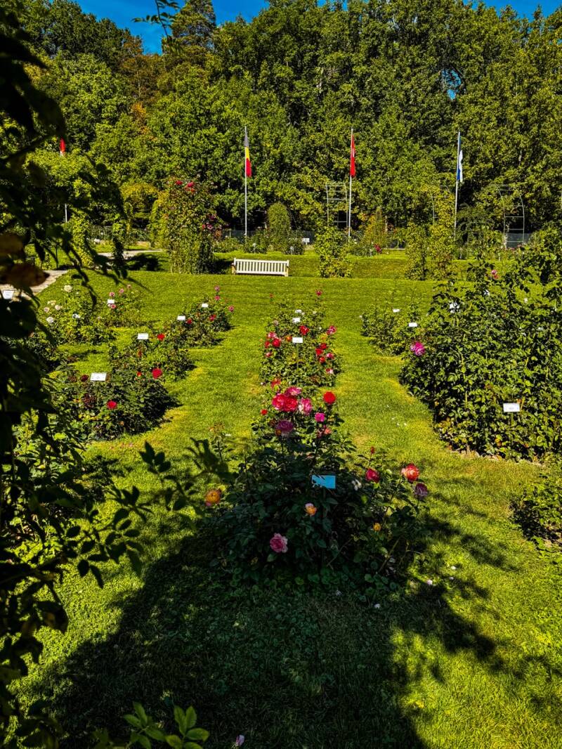september-in-baden-baden-standard.jpg