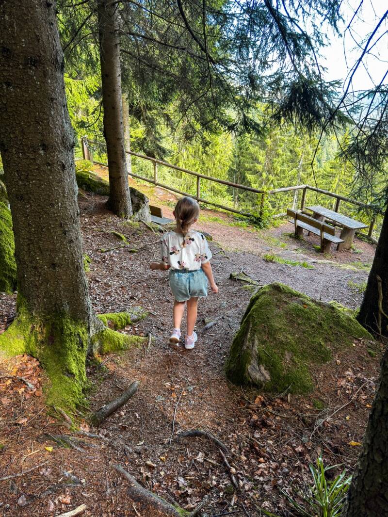sommerberg-ausflugsziel-im-nordschwarzwald-standard.jpg