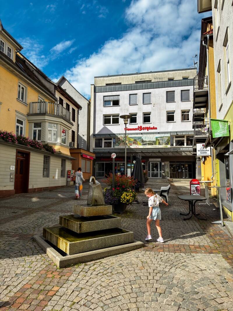 sommerberg-bad-wildbad-schwarzwald-standard.jpg