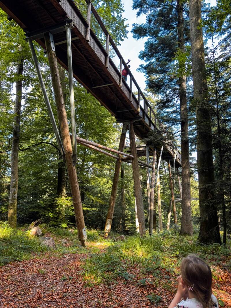 sommerberg-nordschwarzwald-ausflug-standard.jpg