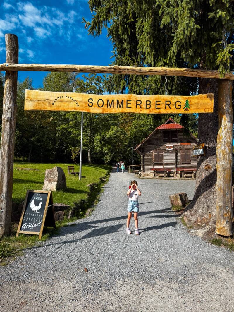 sommerberg-wildline-haengebruecke-standard.jpg