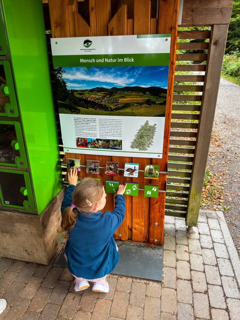 spiele-fuer-kinder-schoemberg-standard.jpg