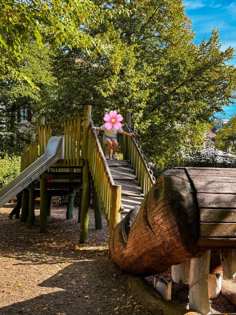 spielplatz-lichtentaler-allee-standard.jpg