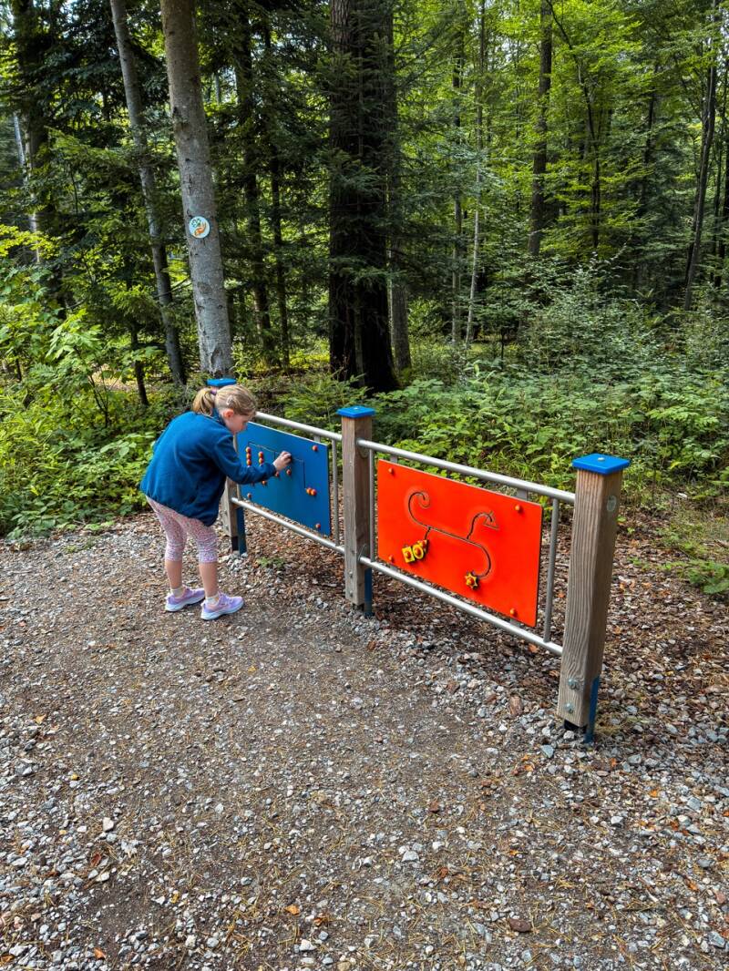 waldweg-zum-aussichtsturm-himmelglueck-standard.jpg