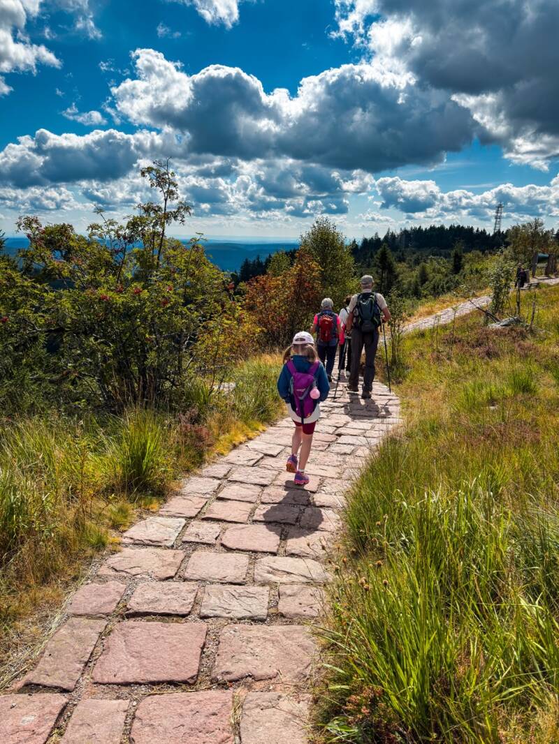 wandern-hornisgrinde-mit-kindern-standard.jpg