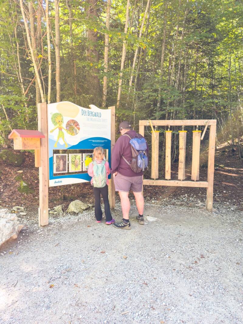 wandern-in-leutasch-kinder-standard.jpg