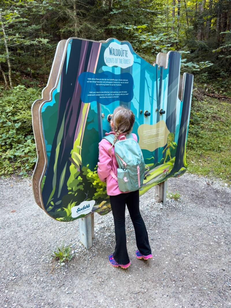 wandern-mit-kindern-leutaschklamm-standard.jpg