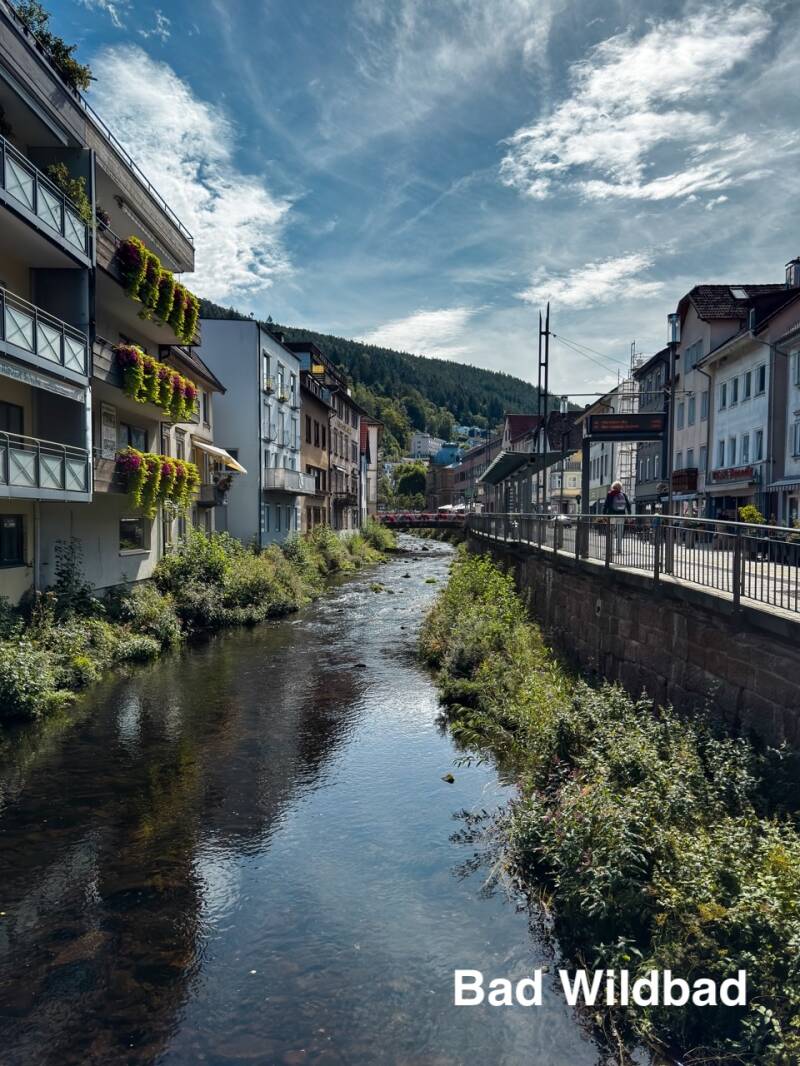 wildline-ausflugsziel-nordschwarzwald-standard.jpg