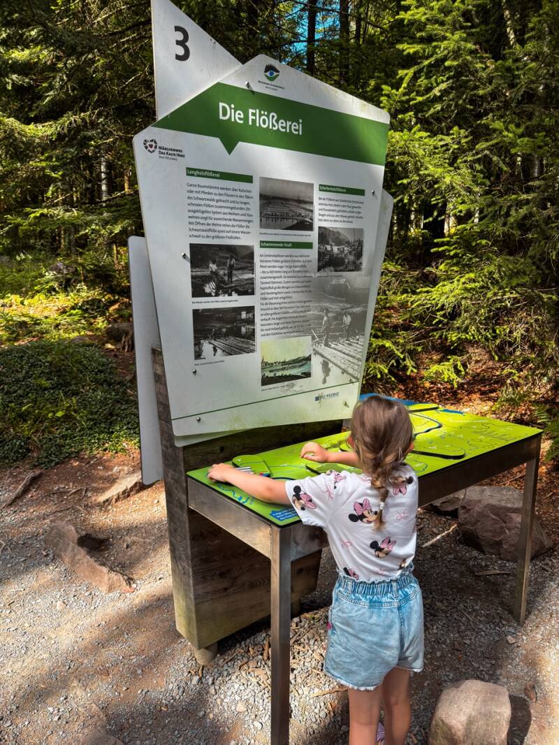wildline-bad-wildbad-ausflugsziel-standard.jpg