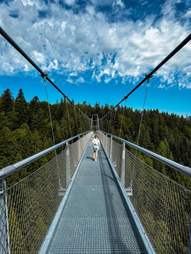wildline-bad-wildbad-aussicht-standard.jpg