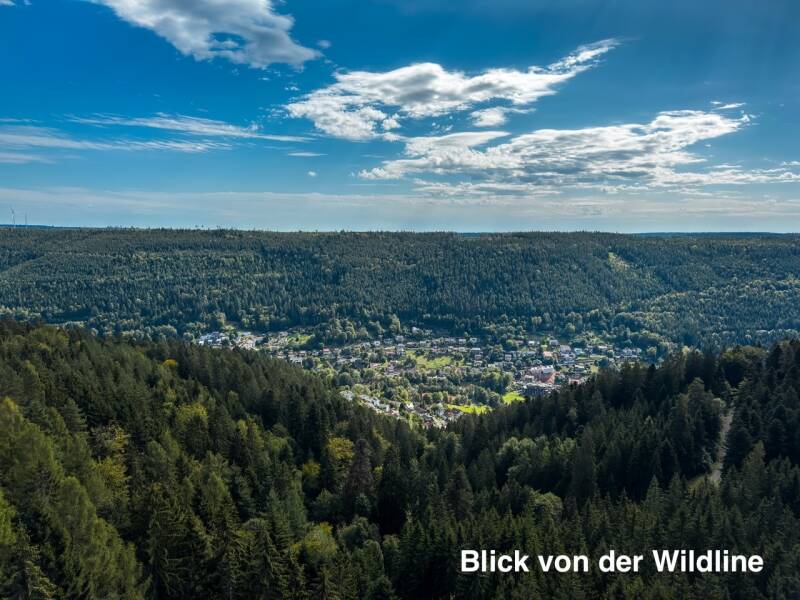 wildline-bad-wildbad-familienausflug-standard.jpg