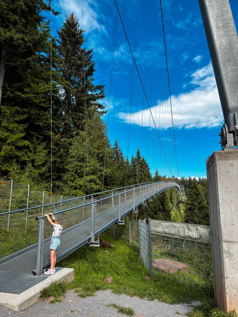 wildline-bruecke-ausflug-mit-kindern-standard.jpg