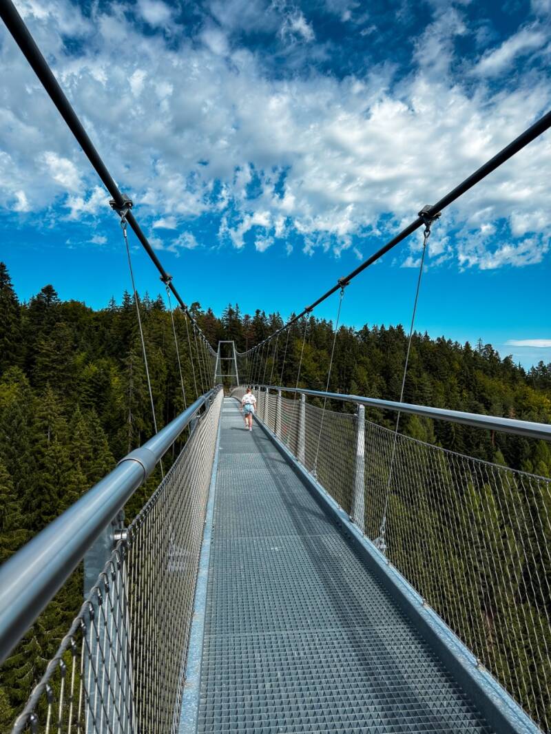 wildline-bruecke-aussicht-nordschwarzwald-standard.jpg
