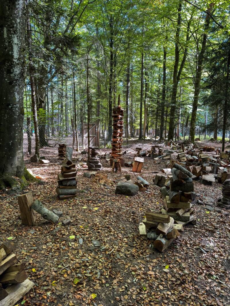 wildline-bruecke-entdecken-bad-wildbad-standard.jpg