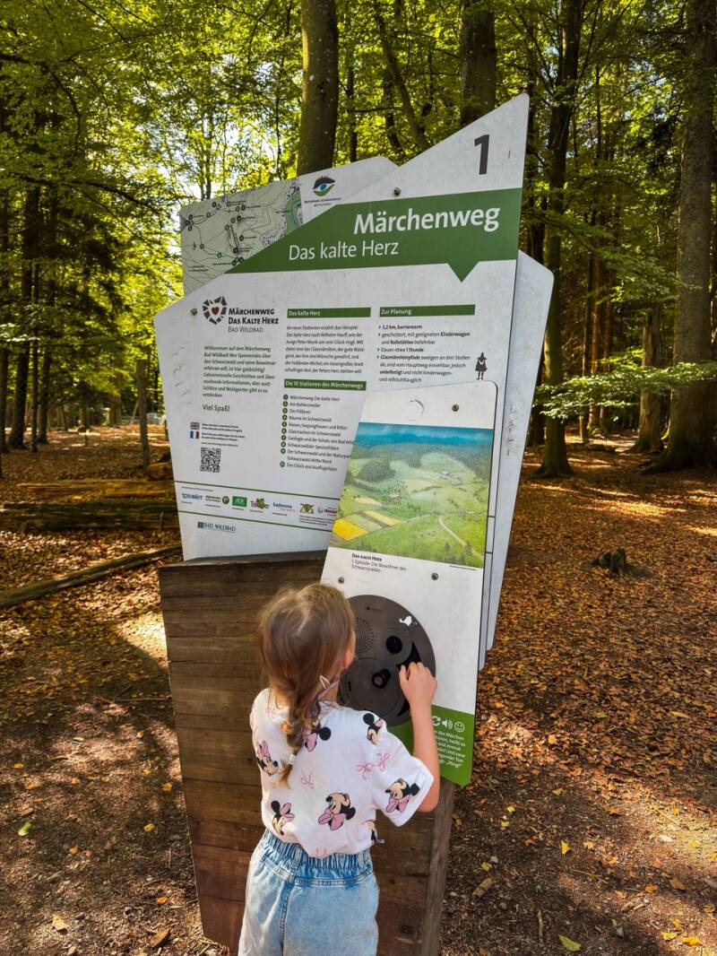 wildline-bruecke-familienerlebnis-standard.jpg