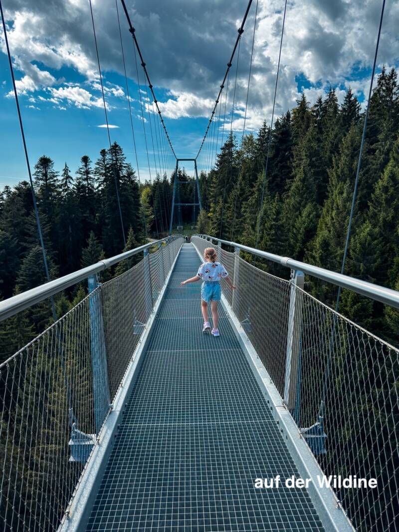 wildline-bruecke-nordschwarzwald-standard.jpg