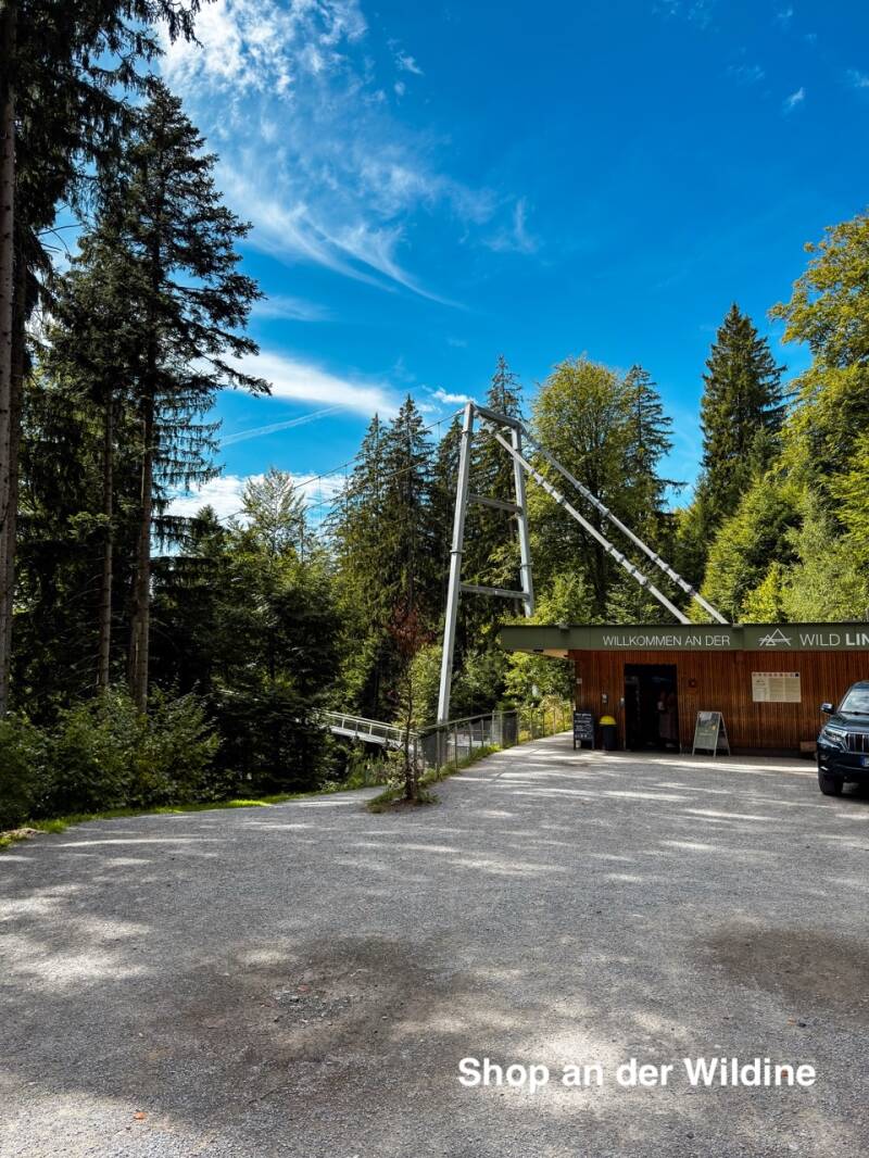wildline-bruecke-schwarzwald-von-oben-standard.jpg