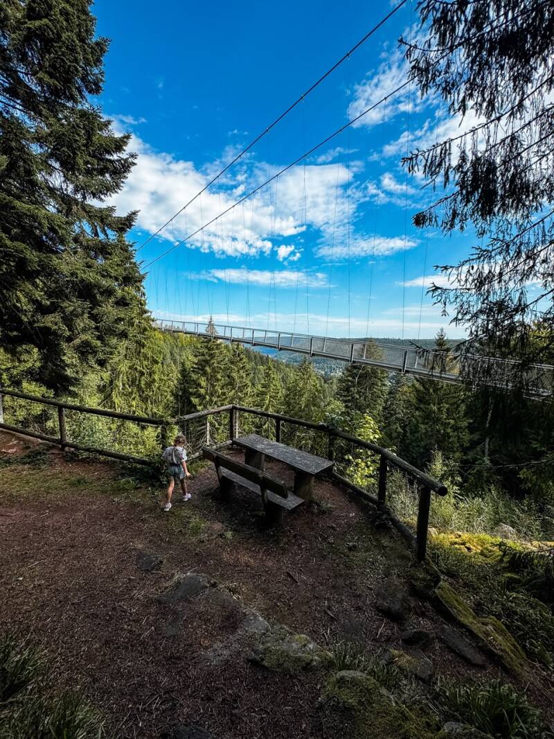 wildline-bruecke-sommerberg-nordschwarzwald-standard.jpg