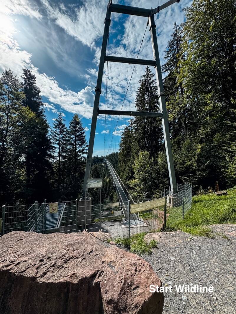 wildline-bruecke-ueber-dem-schwarzwald-standard.jpg