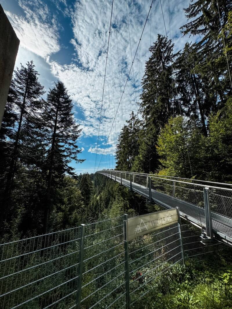 wildline-haengebruecke-schwarzwald-standard.jpg
