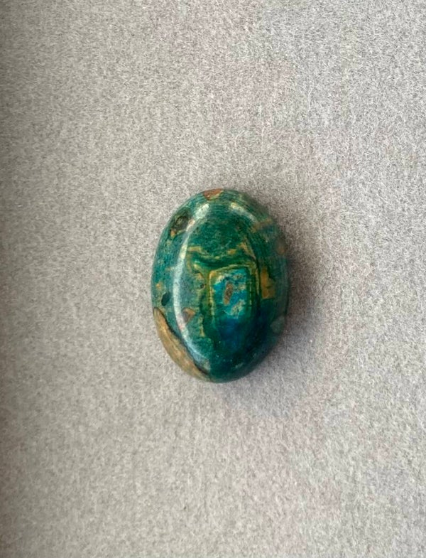 Chrysocolle 5