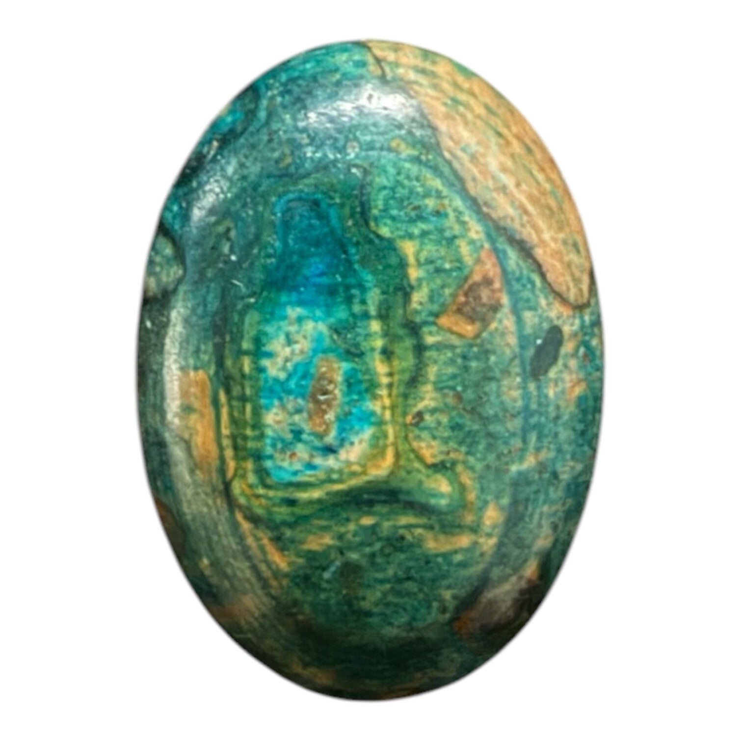 Chrysocolle 5