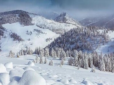 sexless marriage - a snowy forested alpine scene