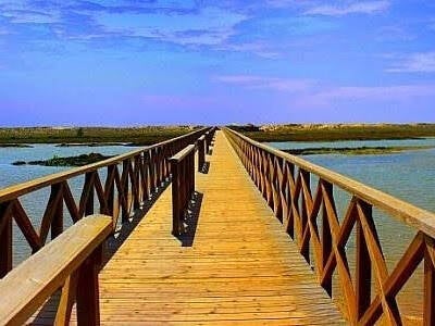 Painful sex - a wooden pier stretches across the water into the distance