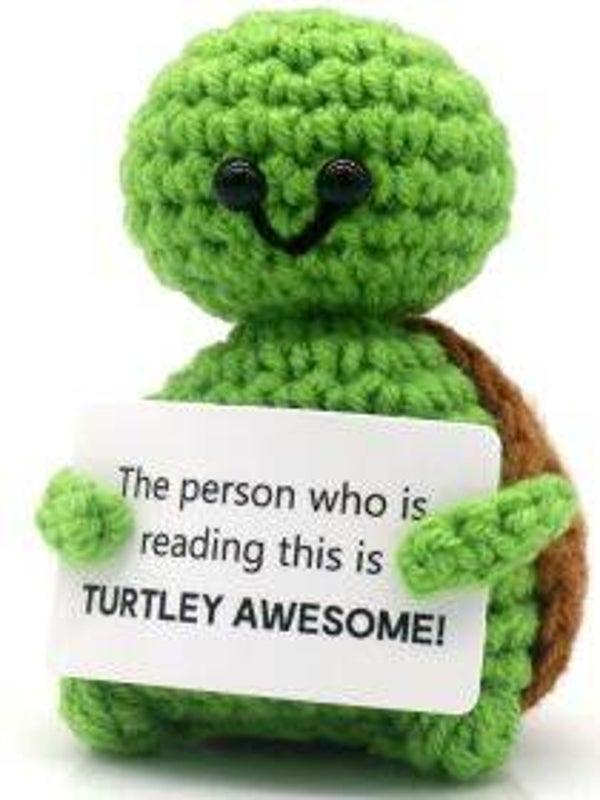 Positive Turtle - Positieve Schildpad 8cm