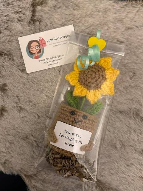 Ben je op zoek naar een origineel bedankje voor het einde van het schooljaar? Dan is deze positieve zonnebloem een ideaal cadeautje! Deze Positive Sunflower heeft een kaartje met: Thank you for helping me grow. Natuurlijk feestelijk ingepakt!