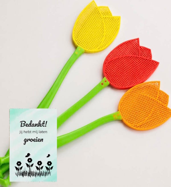 Vliegenmepper TULP - Groeien